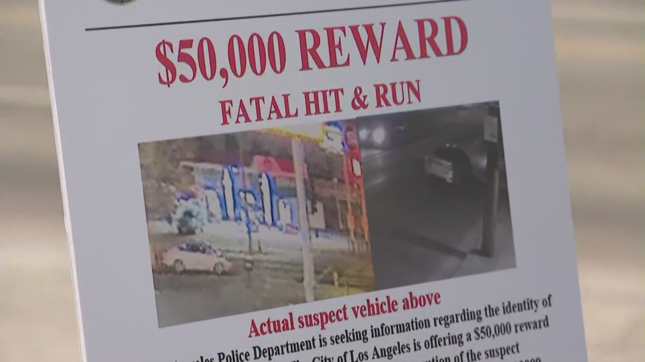Exclusive $50,000 Reward to Catch the Culprit in Deadly Hit-and-Run Incident!