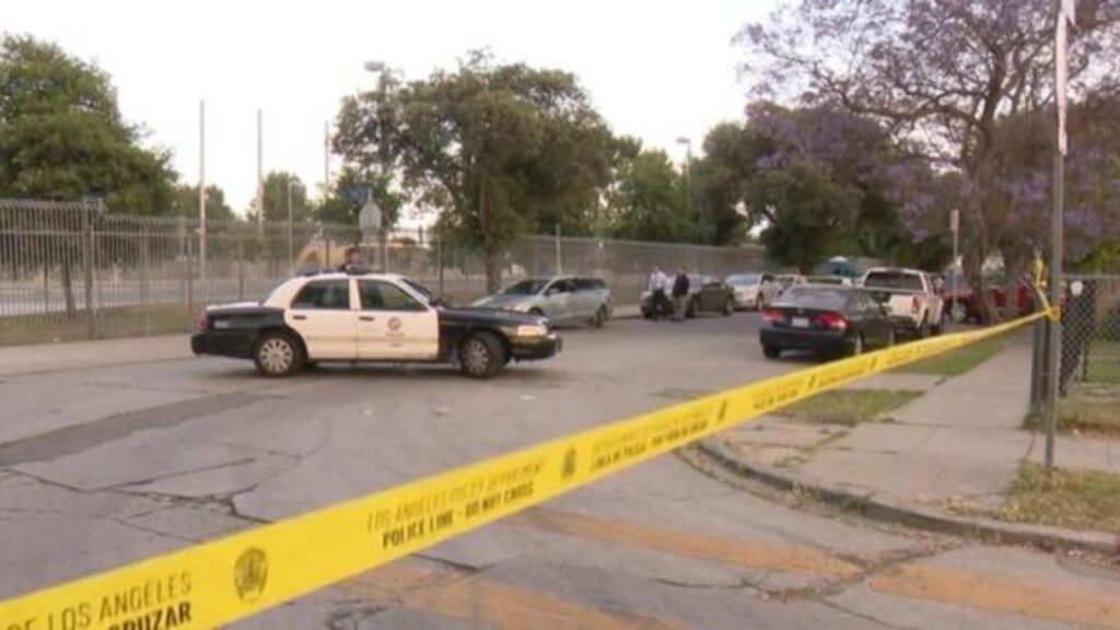 Gang-Related Shooting in South Los Angeles Three Teenagers in Custody