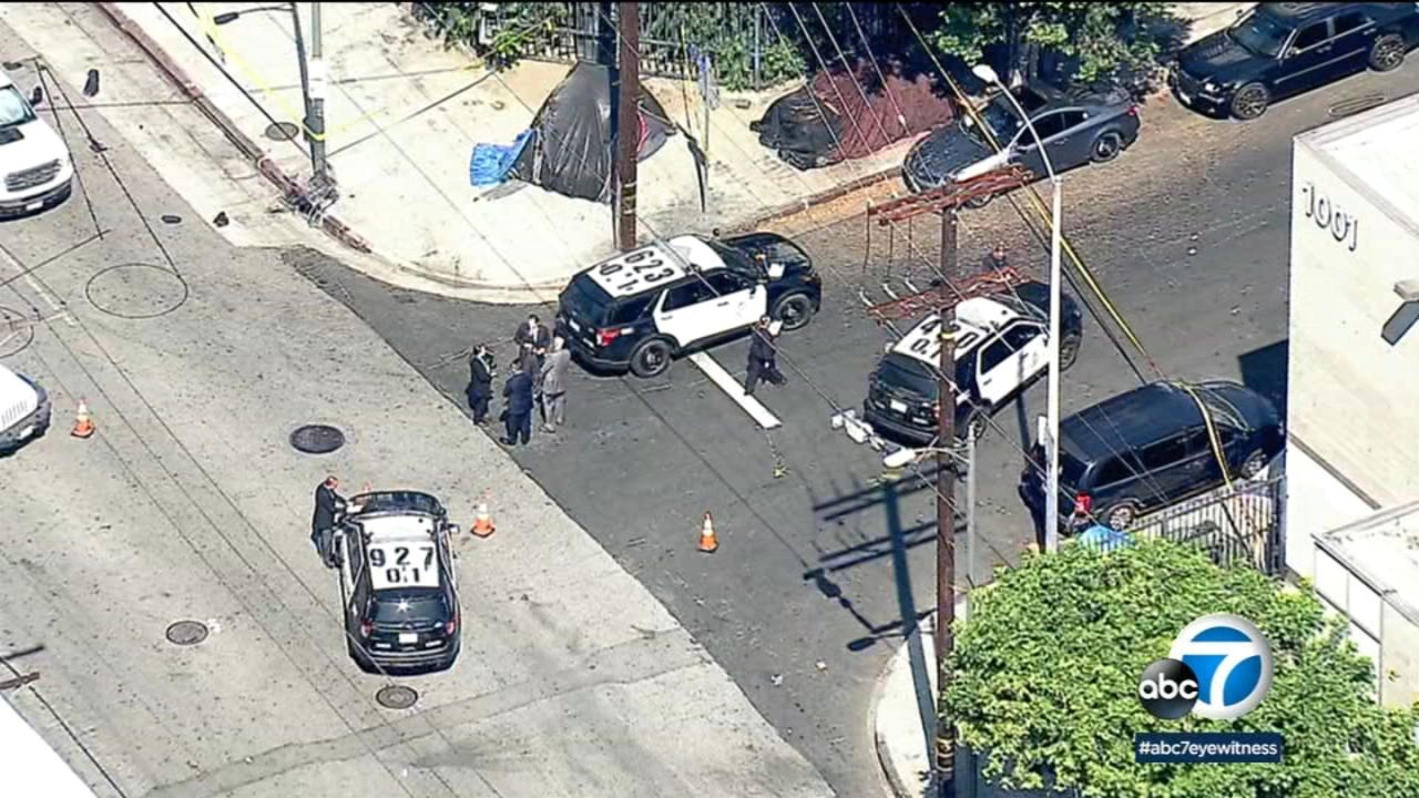 LAPD Fatally Shoots Dog Attacking 65-Year-Old in Downtown LA