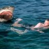 Deadly Shark Attack Kills One in Australia