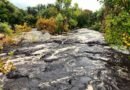 ‘Alarming and scary’: Trump’s California water decisions prompt flood fears