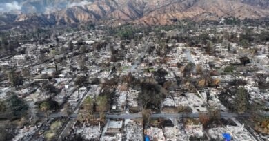 Insurance and FEMA-related scams increasing in aftermath of Los Angeles wildfires