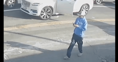 Police searching for man in brutal Southern California hit-and-run