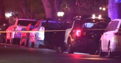 Woman shot and killed in Encino; husband arrested, police say