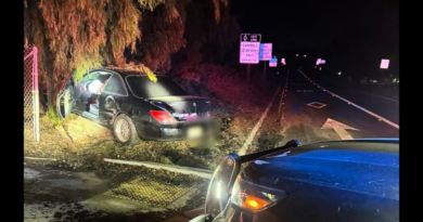 Driver arrested after crashing into pole during Simi Valley pursuit