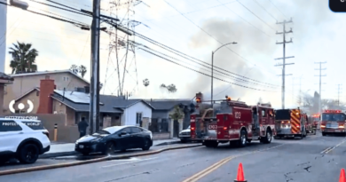 At least 1 pet found dead following house fire in Reseda