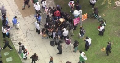 Boy, 14, arrested in stabbing at immigrants’ rights rally in downtown L.A.