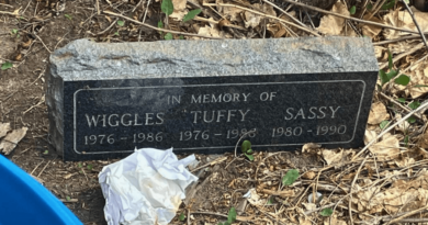 ‘Did you know Wiggles, Tuffy, or Sassy?’ Police find headstone during encampment cleanup