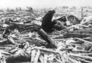 Nearly 700 Dead and Thousands Injured: The Catastrophic 1925 Tornado That Devastated the Midwest