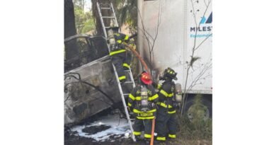 Semi Driver Dies After Fiery Crash Off I-95 in Palm Coast—witnesses Say Truck Veered Off Road