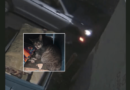 Man caught on video throwing injured cat in dumpster charged with animal cruelty