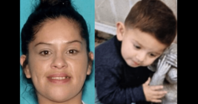 Authorities search for missing toddler abducted by mother in Southern California