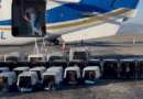 With Southern California shelters crowded, 42 large dogs flown to New York for adoption