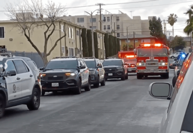 LAPD investigating deadly daytime stabbing in SFV