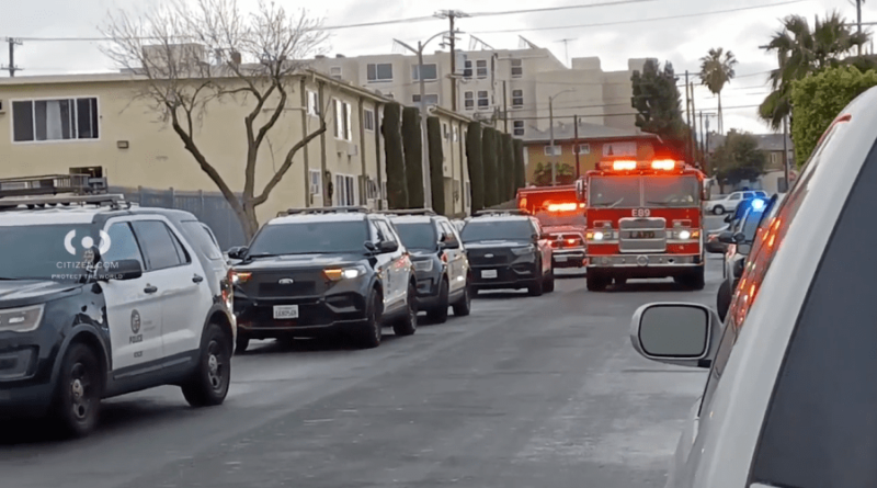 LAPD investigating deadly daytime stabbing in SFV