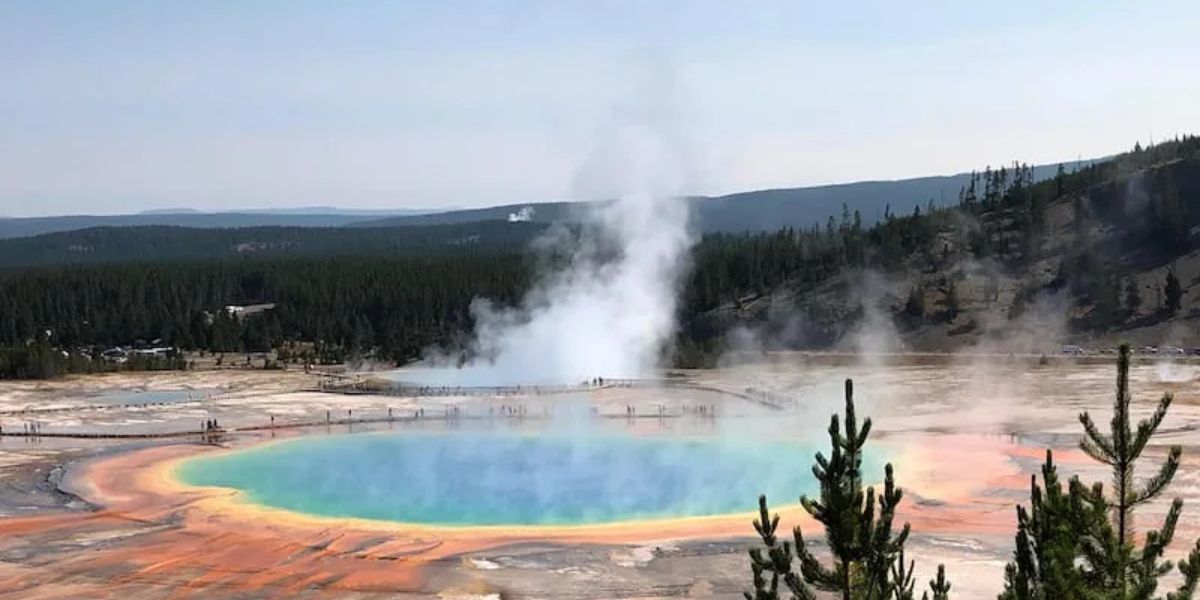 Bison Dies in Yellowstone Hot Spring, Highlighting Park’s Hidden Dangers