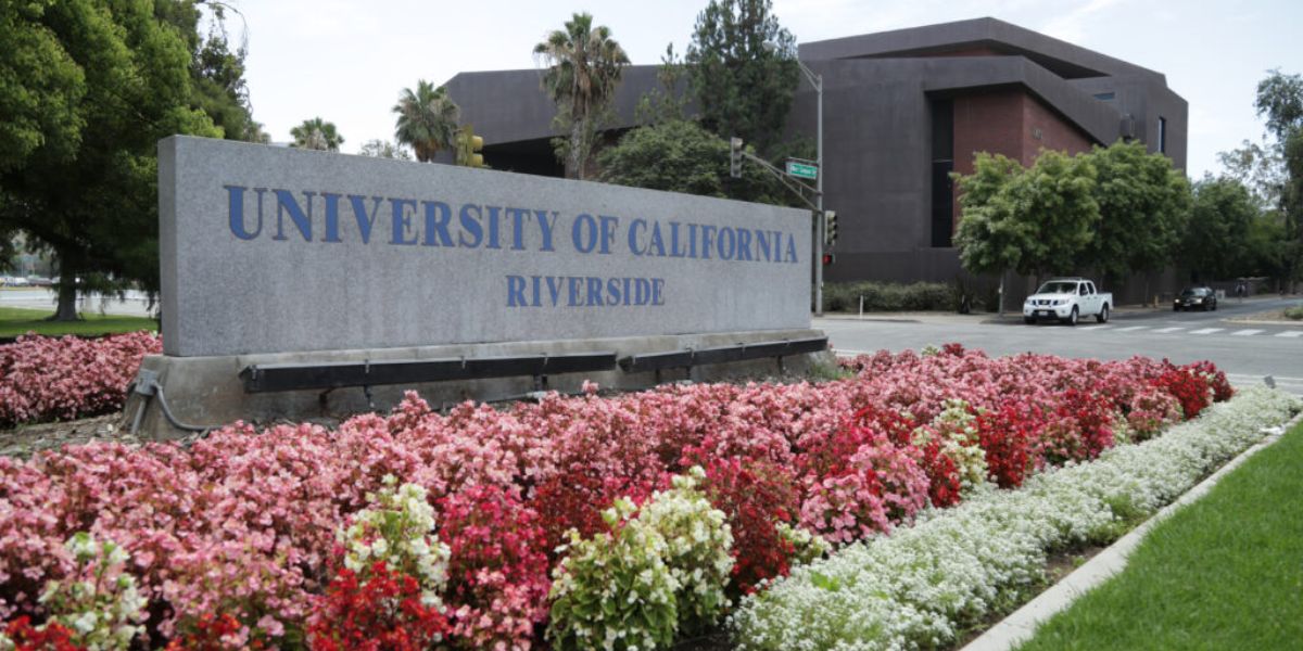 DOJ Probes University of California Over Hiring Discrimination Concerns