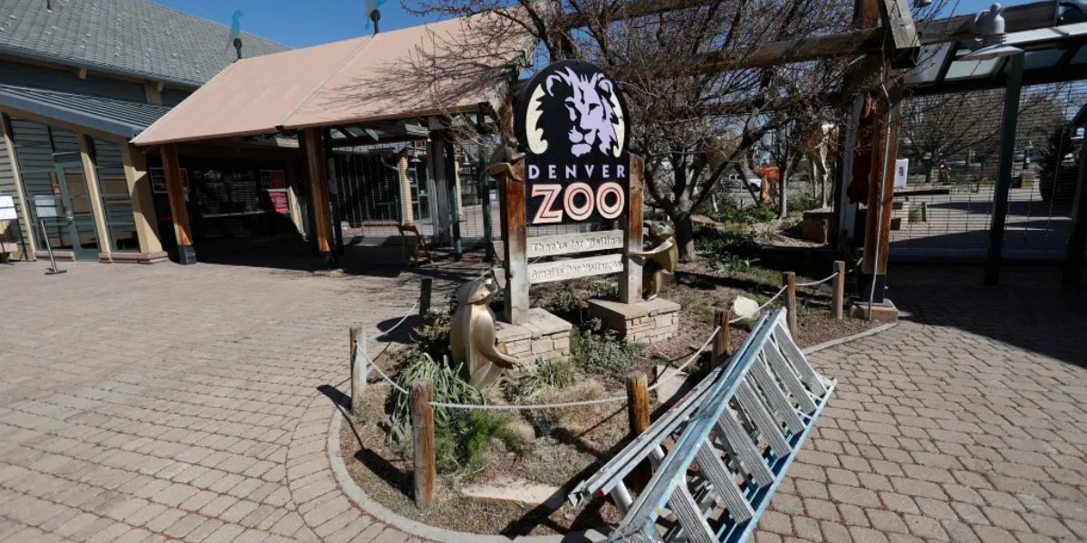 Denver Zoo Closes Early Amid Concerns Over TikTok ‘Takeover’ Trend