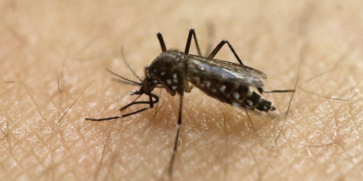Illinois Reports Year’s First Case of West Nile, Officials Urge Precautions