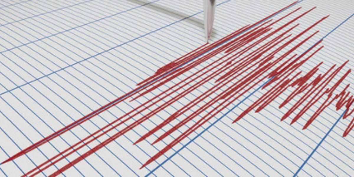Los Angeles Neighborhoods Rattled by Earthquake, No Immediate Damage Reported