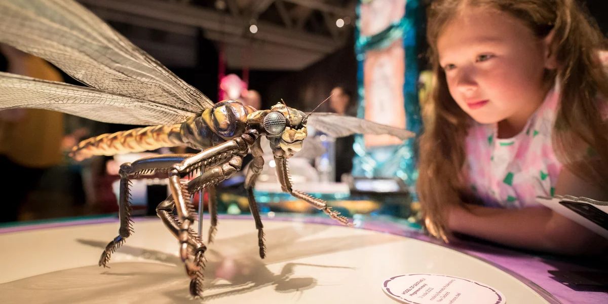 Perot Museum Debuts 'Bug Lab' Exhibit Featuring Giant Insects and Interactive Displays