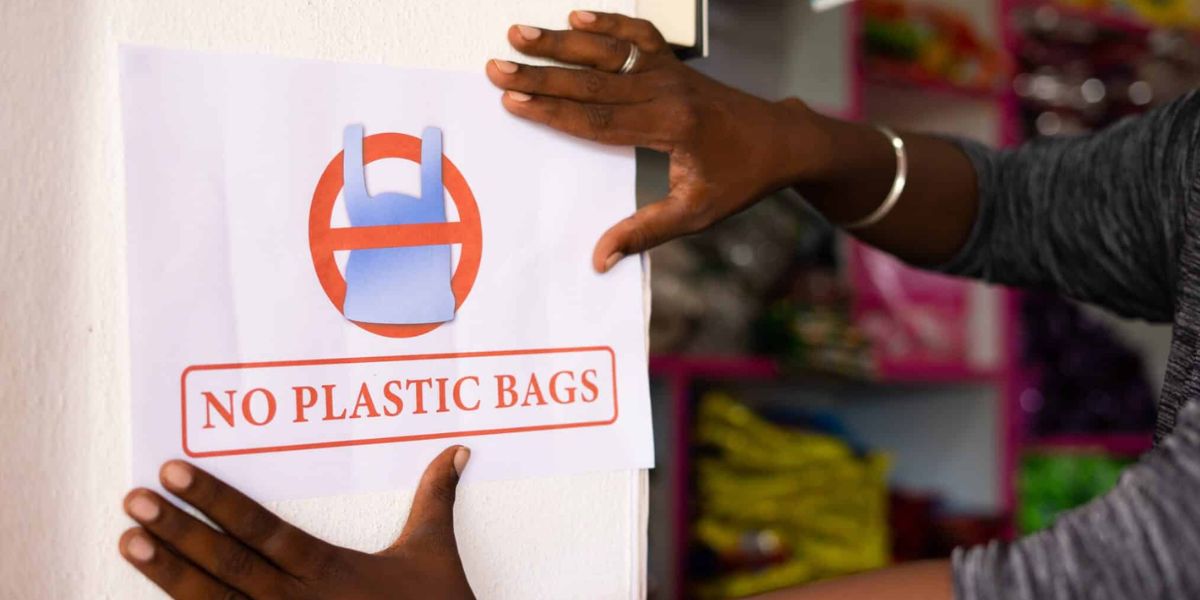 Researchers Say Plastic Bag Bans and Fees Are Delivering Major Results